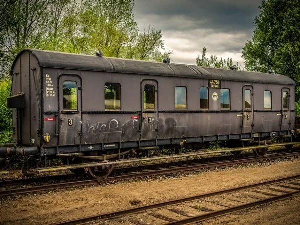 제주 미니 밤호박