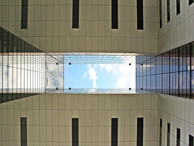 강아지 포도 중독증상 및 치료방법