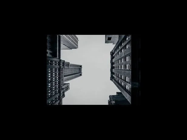 퀵실버 래쉬가드 디자인