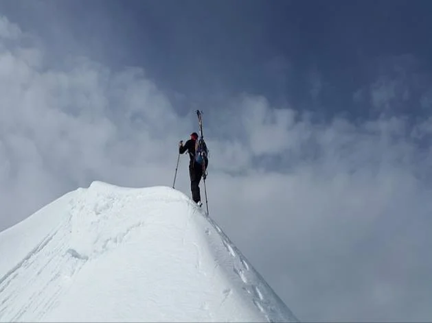 카카두김치그릴러