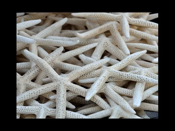 원칩 셀프개통 가능 시간