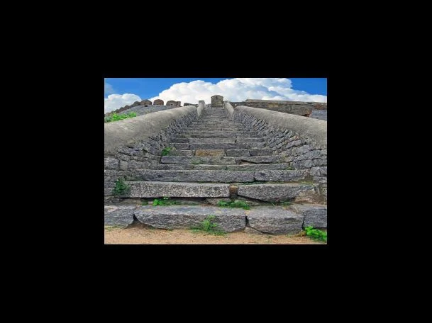 전세피해지원센터 하는 일은?