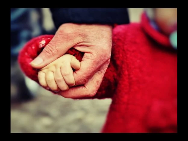 위드유드라이브 금액 및 진행방법