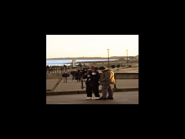 민원신청하기 클릭