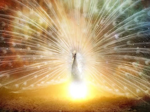 날씬한 테이퍼드 청바지로 재킷times청바지 코디를 스타일 업