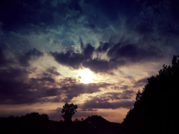 사이버5명 채용