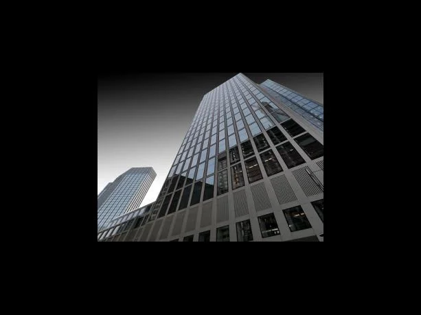 의약학계열 경쟁관계 SKY 등 주요대 비교