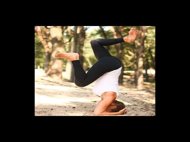 김국환 타타타 가사