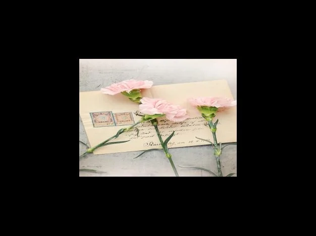 맑은 날이 아니어서 오히려 좋아