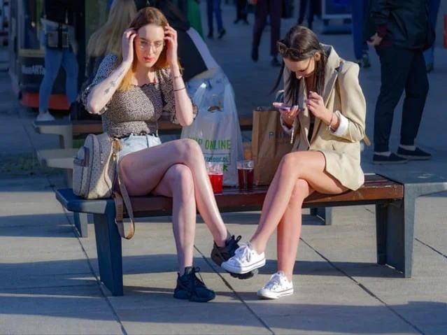 수국 키우는 법 수국 가지치기