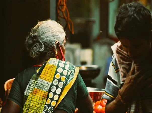 수국 키우는 법 수국 개화시기