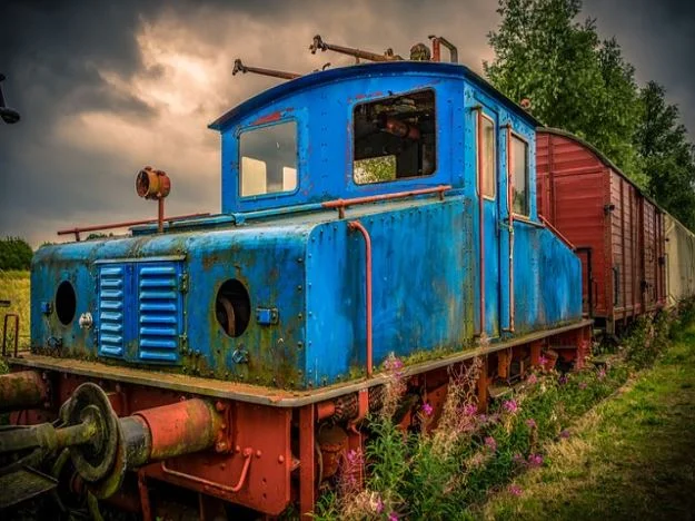 종의 기원 캐스팅 정보