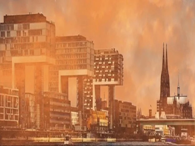 3달동안 새잎성장 2개