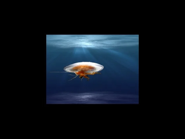 연금복권 1등 당첨번호