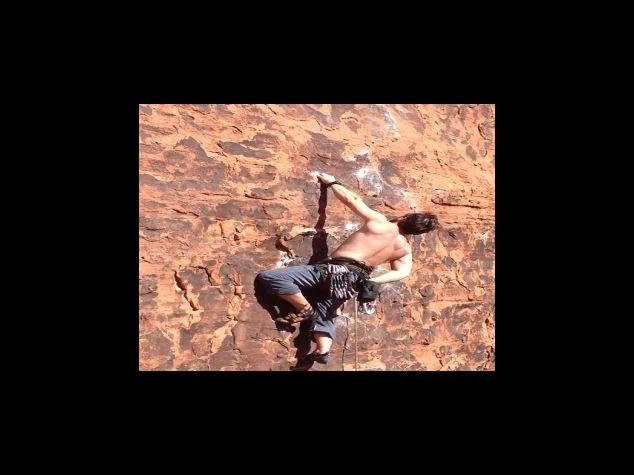 면허증 분실 시 주의사항