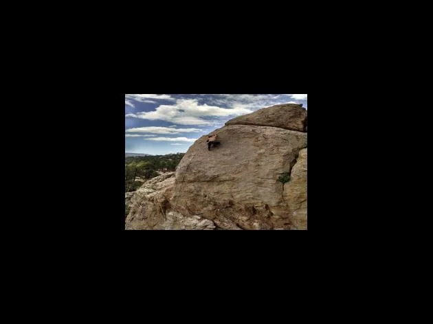 쿠팡 택배 알바의 장점