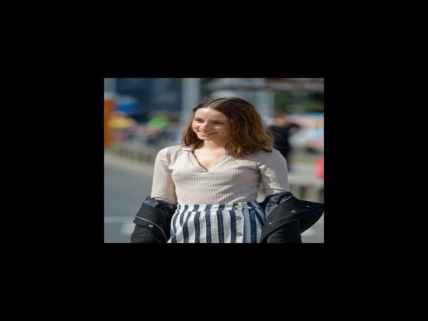 델파이 기법 설문지