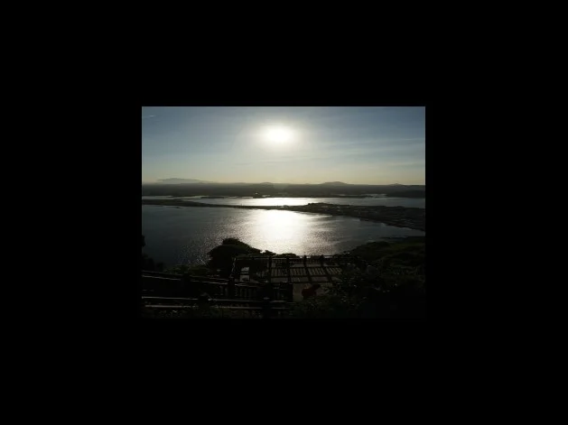 델파이 기법 장점