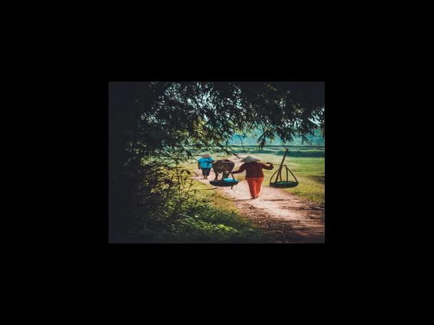 2023년 기준 중위소득액이 무엇일까요?