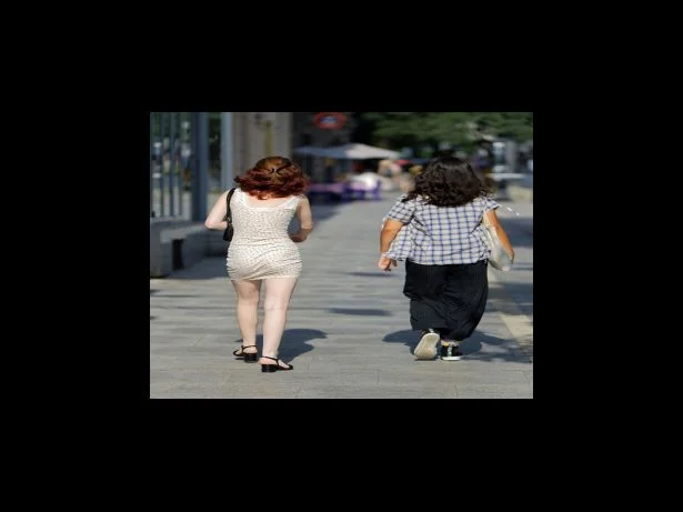 마조람오리가눔 메이저라나