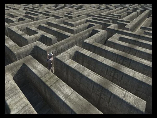 해충 및 질병과의 싸움