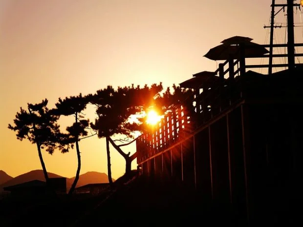계급별 급수