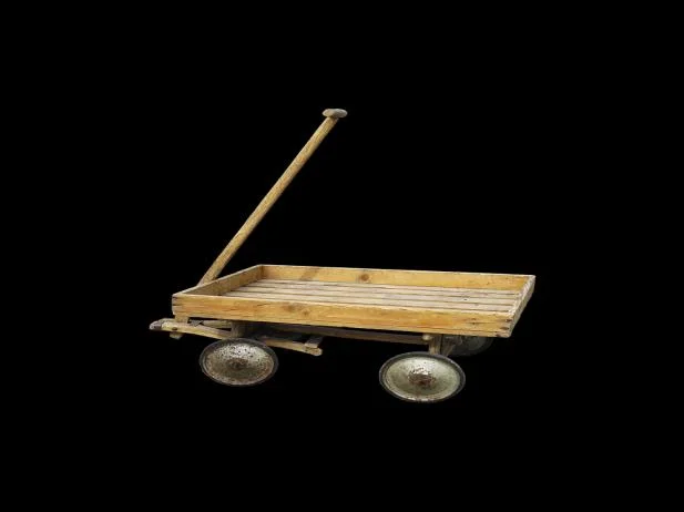 금화규 효능 0 면역력 강화에 도움이 됩니다.