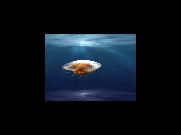 노 타임 투 다이 영화리뷰