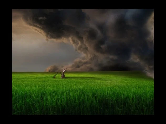 1 온라인 교육의 부상