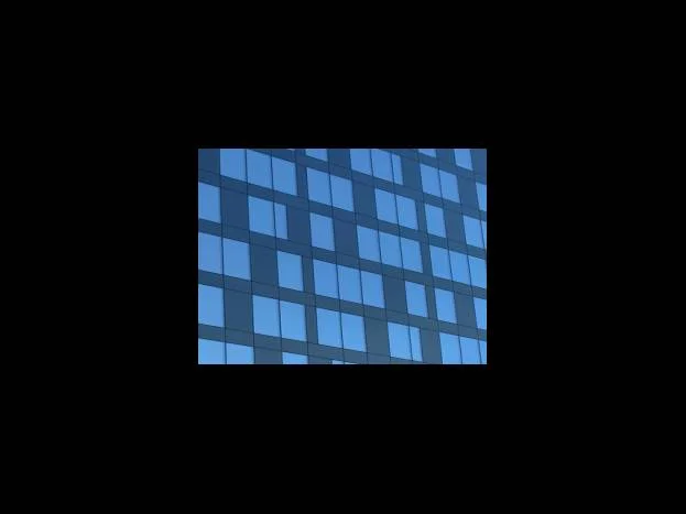 보석 금전수 번식시키는 법 세가지