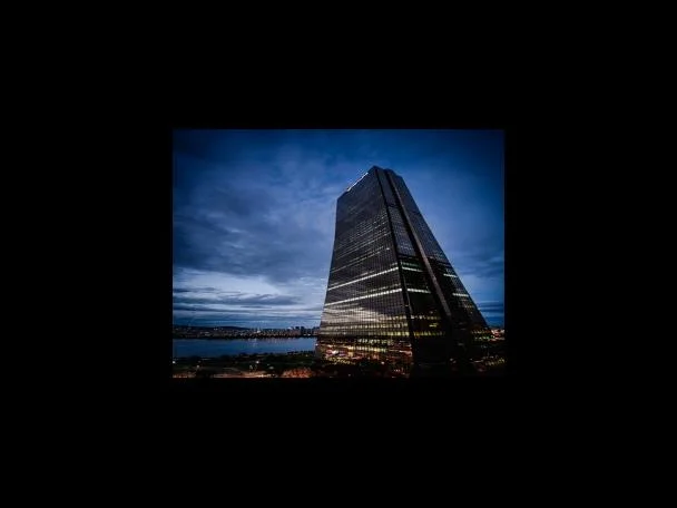 자격증 진로 및 전망