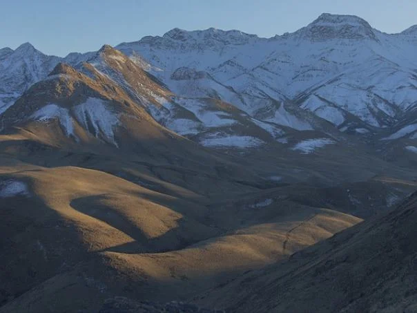 지게차운전기능사 시험