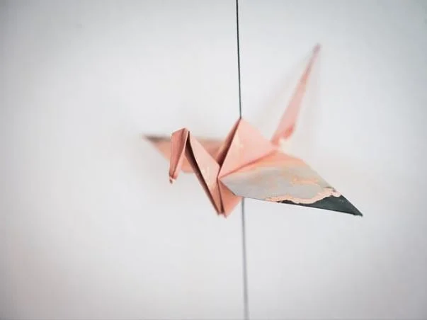 입학 정원