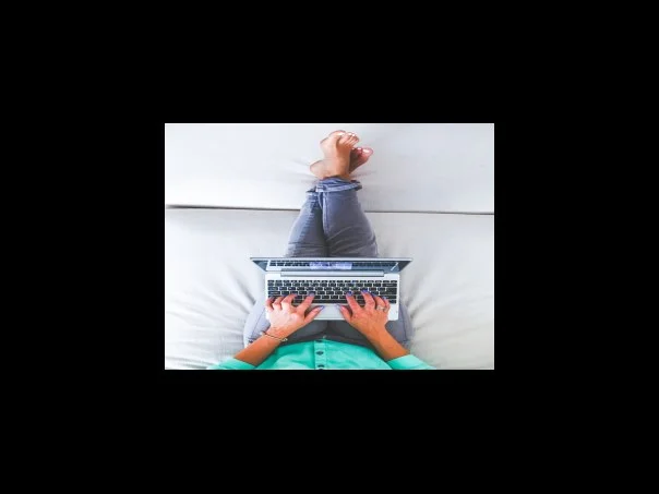 보석 금전수 햇빛