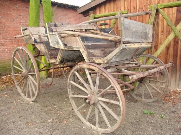 시험 과목 및 시험 시간표