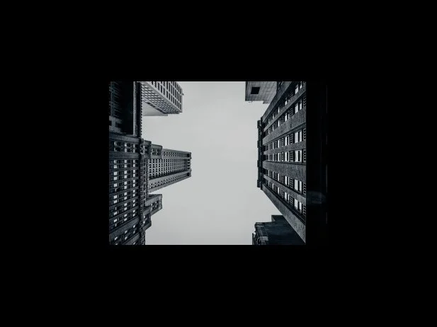 콥화이트 샐러드 밀 박스