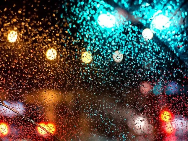 유자 부작용과 주의점