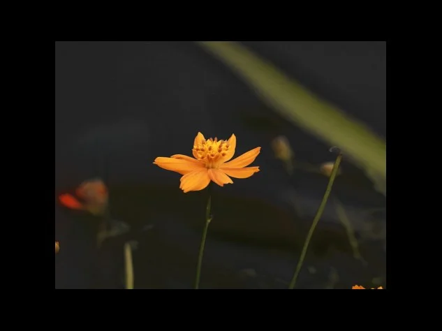 12월 29일 검토 심사 요약