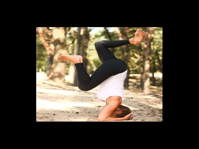 졸업증명서 vs 최종학력증명서