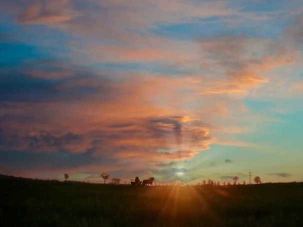 태국 푸켓 판푸리 레지던스 호텔 디럭스룸