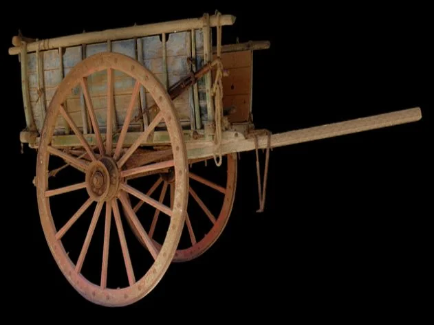 삼성화재 다이렉트 자동차보험