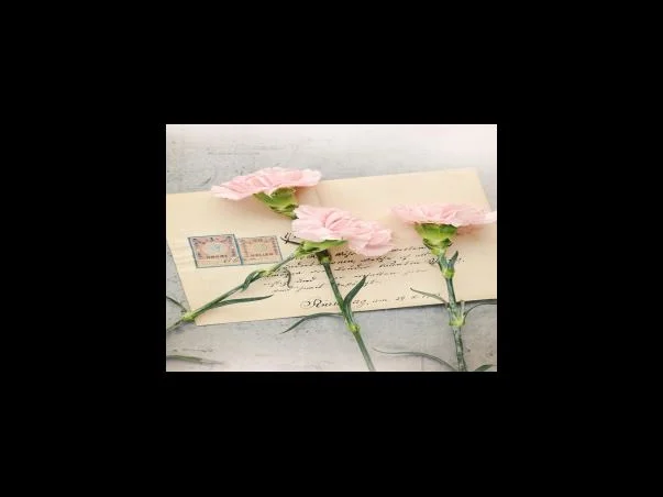 부산 강서구 노인 중장년 일자리 채용공고