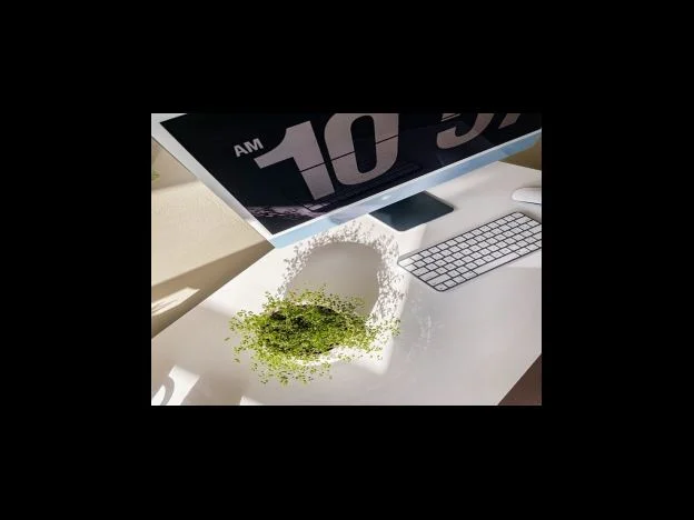 서귀포 힐즈호텔 방문자 후기