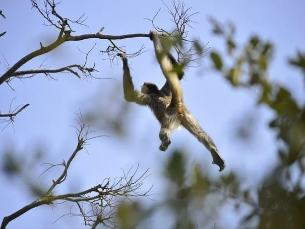 아그라 메뉴보기