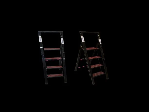 아레카야자의 관리