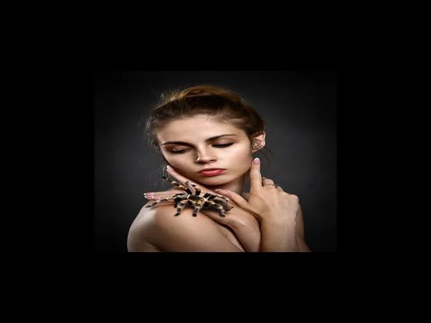 완전한 더미식 유니자장면