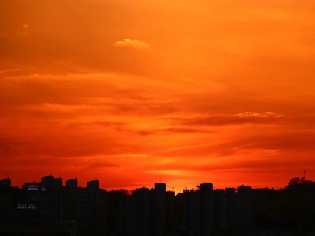 수염에 깜짝 놀랄만한 이뇨효과가 숨어있는 옥수수