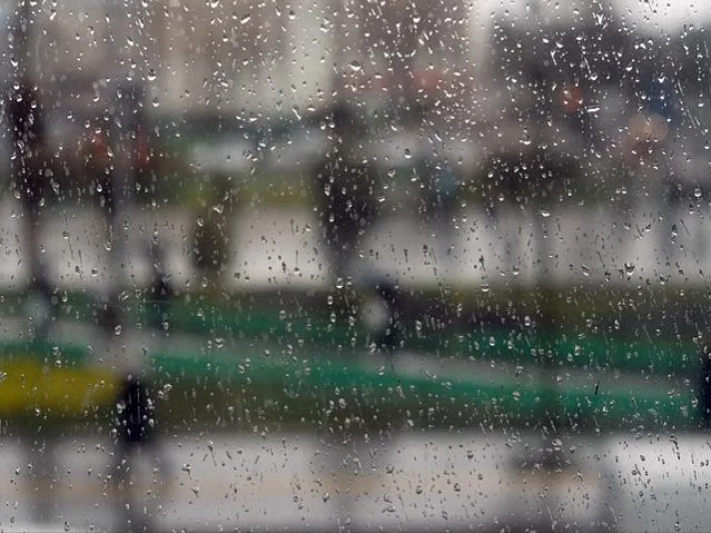 보리차와 옥수수차의 차이점