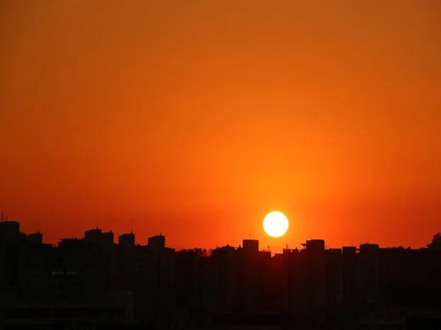 자기부담금 없애는 방법