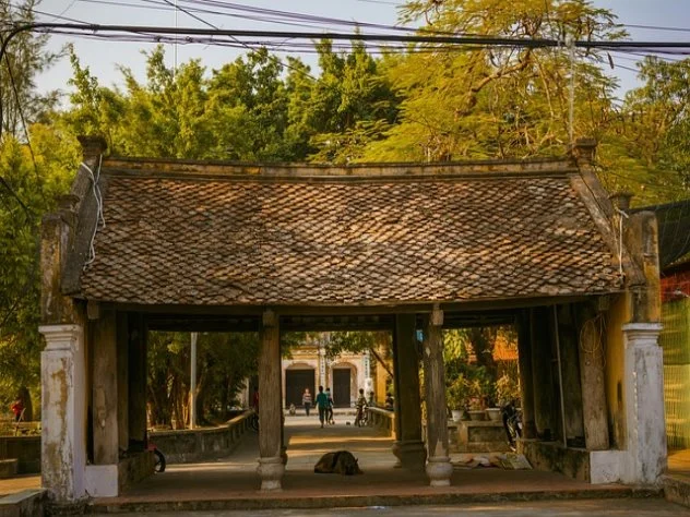 심상정 단일화 가능성? 더불어 민주당 반응은?